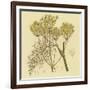 Yellow Weeds-null-Framed Art Print