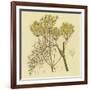 Yellow Weeds-null-Framed Art Print