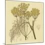 Yellow Weeds-null-Mounted Art Print