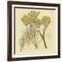 Yellow Weeds-null-Framed Art Print