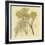 Yellow Weeds-null-Framed Art Print