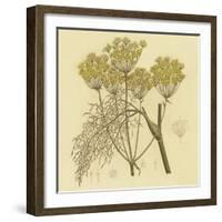 Yellow Weeds-null-Framed Art Print