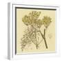 Yellow Weeds-null-Framed Art Print