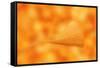 Yellow Weightless-Philippe Sainte-Laudy-Framed Stretched Canvas