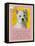 Yellow Westie-Cathy Cute-Framed Stretched Canvas