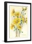 Yellow Wildflowers-null-Framed Art Print