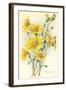 Yellow Wildflowers-null-Framed Art Print