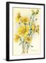 Yellow Wildflowers-null-Framed Art Print