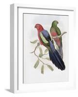 Yellow Winged King Parrot-John Gould-Framed Giclee Print