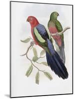 Yellow Winged King Parrot-John Gould-Mounted Giclee Print