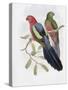 Yellow Winged King Parrot-John Gould-Stretched Canvas