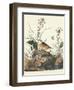 Yellow-Winged Sparrow-John James Audubon-Framed Art Print