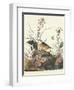 Yellow-Winged Sparrow-John James Audubon-Framed Art Print