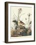 Yellow-Winged Sparrow-John James Audubon-Framed Art Print