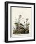 Yellow Winged Sparrow-null-Framed Premium Giclee Print