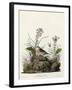 Yellow Winged Sparrow-null-Framed Giclee Print