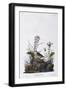 Black Frame