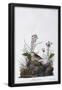 Essential Black