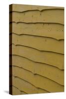 Yellow Wood Cladding-Natalie Tepper-Stretched Canvas