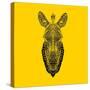 Yellow Zebra Mesh-Lisa Kroll-Stretched Canvas