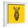 Yellow Zebra Mesh-Lisa Kroll-Framed Art Print