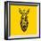 Yellow Zebra Mesh-Lisa Kroll-Framed Art Print