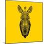 Yellow Zebra Mesh-Lisa Kroll-Mounted Art Print