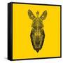 Yellow Zebra Mesh-Lisa Kroll-Framed Stretched Canvas