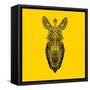 Yellow Zebra Mesh-Lisa Kroll-Framed Stretched Canvas