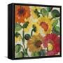Yellow Zinnias-Kim Parker-Framed Stretched Canvas
