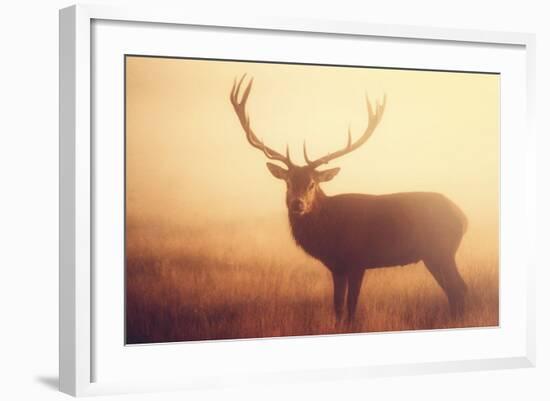 Yellow-Mark Bridger-Framed Art Print