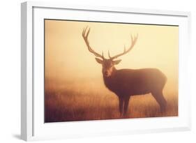 Yellow-Mark Bridger-Framed Art Print