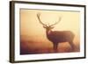 Yellow-Mark Bridger-Framed Art Print