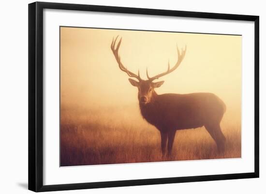 Yellow-Mark Bridger-Framed Art Print