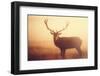 Yellow-Mark Bridger-Framed Giclee Print