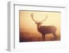 Yellow-Mark Bridger-Framed Giclee Print