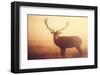 Yellow-Mark Bridger-Framed Art Print