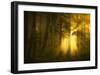 Yellow-Norbert Maier-Framed Art Print