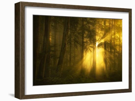 Yellow-Norbert Maier-Framed Art Print