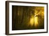 Yellow-Norbert Maier-Framed Art Print