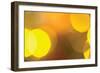 Yellow-Karyn Millet-Framed Photographic Print