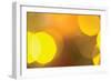 Yellow-Karyn Millet-Framed Photographic Print