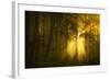 Yellow-Norbert Maier-Framed Photographic Print