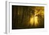 Yellow-Norbert Maier-Framed Photographic Print