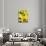 Yellow-Vaan Manoukian-Art Print displayed on a wall