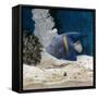 Yellowbar Purplemoon Angelfish Captive-Jane Burton-Framed Stretched Canvas