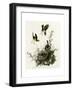 Yellowbreasted Chat-null-Framed Giclee Print