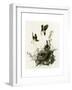 Yellowbreasted Chat-null-Framed Giclee Print