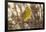 Yellowhammer (Emberiza Citrinella) Male Perched. Scotland, UK, December-Mark Hamblin-Framed Photographic Print