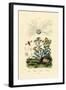 Yellowjacket Hoover Fly, 1833-39-null-Framed Giclee Print